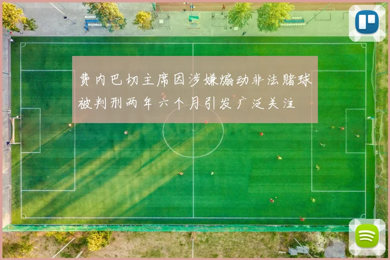 费内巴切主席因涉嫌煽动非法赌球被判刑两年六个月引发广泛关注